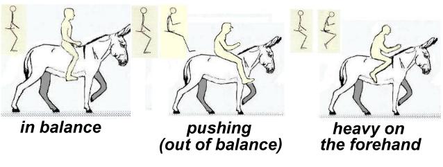 riderbalance1.jpg - 27828 Bytes