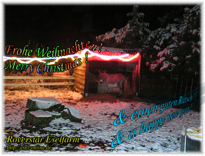 Frohes Fest und einen guten Rutsch ! / Merry Christmas and a happy new Year !